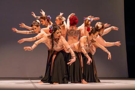 Območna revija plesnih skupin Finesa plesa 2024 (25)